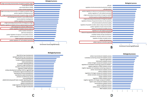 Figure 5. Bioinformatics analysis of significantly dysregulated expression of circRnas.