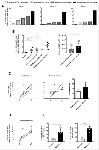 Figure 5. Co-encapsulation of α-GalCer and Melan A in NP/CLEC9A augments the proliferation of Melan A-specific CD8+ T cells in vitro. A, PBMCs from HLA-A2+ donors were cultured with Melan A peptide alone (0.9 µg/ml) or supplemented with α-GalCer (10ng/ml), either free or encapsulated in NP/Clec9a or NP/IgG. Fourteen days later, the proportion of Melan A-specific (dextramer A2/Melan A26–35-specific cells, Dex/M+) CD8+ T cells were determined by flow cytometry. Data from 3 donors are shown. B, The magnitude (frequency and cell number/well) of the Melan A-specific CD8+ T cell populations from a pool of 7 healthy donors is shown. Horizontal bars indicate mean values. C, At the end of the culture, gated CD3+ expanded cells were analyzed for 6B11 labeling. The frequency of human NKT cells (CD3+ 6B11+) from healthy donors and from melanoma patients is shown at day 0 and day 14. The fold expansion of NKT cells is presented in the right panel. (D) and E, PBMCs from melanoma donors were cultured with NP/α-GalCer/Melan A/Clec9a. D, Proportions of Melan A-specific CD8+ T cells are shown at day 0 and day 14. E, The proportion of Melan A-specific CD8+ T cells (day 14) expressing IFN-γ or CD107 upon activation with T2 cells pulsed with the Melan A peptide or with an irrelevant peptide is shown. ***P < 0.001, **P < 0.01, *P < 0.05 (a Wilcoxon test (B, right panel), a Mann–Whitney U test (C, (D) and E) or a Kruskal–Wallis ANOVA (B, left panel)).