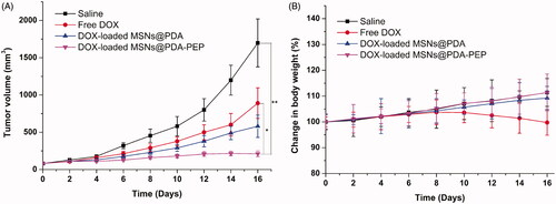 Figure 8. (A) Tumor growth and (B) percentage change of body weight curves of nude mice bearing HT-1376 cell xenograft after intravenous injection with saline, free DOX, DOX-loaded MSNs@PDA and DOX-loaded MSNs@PDA-PEP (n =5). *p < 0.05; **p < 0.01.