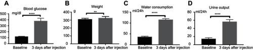 Figure S1 (A) The blood glucose was significantly (p<0.0001) higher at 3 days after STZ injection (377.9±8.7 mg/dl) compared to baseline (117.8±1.1 mg/dl). (B) The weight at 3days post injection was 323.8±3.9 g, which significantly (p<0.01) increased compared to the body weight on baseline (308.4±2.6 g). (C) The water consumption significantly (p<0.0001) raised after injection (114.8±1.0ml/24h) compared to baseline (35.5±0.7 ml/24h) (D) The urine output was significantly (p<0.0001) elevated at 3 days after injection (56.1±1.0ml/24h) in comparison to baseline (14.1±0.6 ml/24h)**P<0.01, ****P<0.0001.