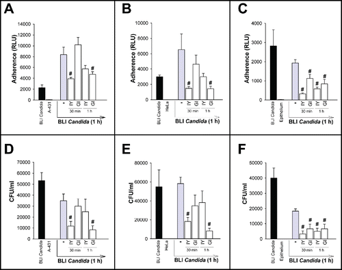 Figure 6. Effect of IY and GI on BLI Candida adherence and growth. A-431 cells (panels A and D), HeLa cells (panels B and E) or vaginal epithelium (panels C and F) were incubated for 30 min or 1 h in the presence or absence of IY or GI (both 100 mg/ml). After incubation, cells were washed 5 times, then incubated in the presence or absence of BLI Candida for 1 h. After incubation, cells were washed 5 times, then bioluminescence emission was evaluated by luminometer after adding coelentarazine (panels A-C). Trypsin/EDTA solution (100 µl) was added in each well, then the plates were incubated for 15 min at 37°C to dissociate cells. Hence, the cellular suspension was diluted (1/10), plated onto CHROMagar Candida and incubated at 37°C for 48 h. The fungal load (the adherent BLI Candida) was quantified as the number of CFU/ml (panels D-F). BLI Candida refers to Candida adhesion to empty wells (black bars). Data are expressed as mean ± SEM. #, p < 0.05 cells incubated with BLI Candida plus IY or GI vs cells incubated with BLI Candida alone.
