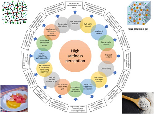 Figure 4. A graphical presentation of the strategies for maximization of saltiness perception through control of chemical composition and careful structure design in gel systems.