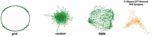 Figure 5. Graphical representations of grid-like ring lattice and random networks, compared to a nanowire network (NWN) and a biological neural network (C. Elegans). Adapted from Loeffler et al. [Citation65]