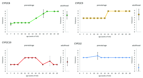 Figure 1. Expression of CYP2C8, CYP29, CYP2C19, and CYP2J2 in enterocytes of embryonic/fetal intestine during 7th-20th week of IUD (n = 29) and adult duodenal tissue samples (n = 5). Graphs show the average histoscore. The error bars represent standard deviation.