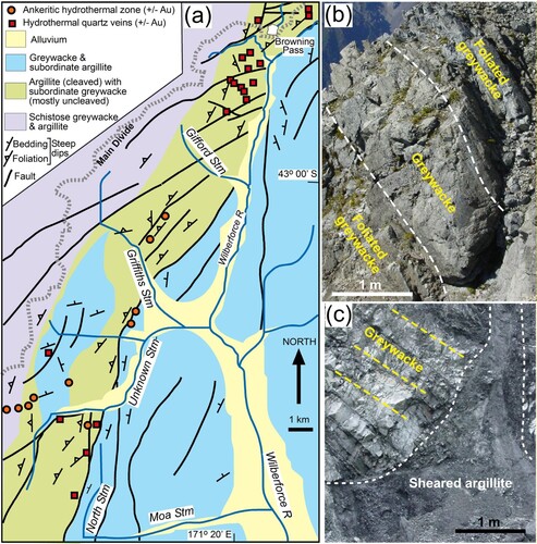 Figure 3. Structural and lithological setting for hydrothermal zones in the Wilberforce catchment. A, Geological map. B, Outcrop of partly foliated greywacke in North Stream. C, Sheared argillite with soft cataclasite cuts across unfoliated greywacke bedding in Unknown Stream.