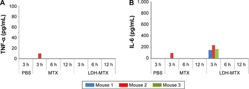 Figure S5 Immune response of MTX and LDH-MTX nanohybrids on the production of proinflammatory cytokine, (A) TNF-α and (B) IL-6.Abbreviations: h, hours; IL-6, interleukin-6; MTX, methotrexate; LDH-MTX, layered double hydroxide-methotrexate; PBS, phosphate-buffered saline; TNF-α, tumor necrosis factor-α.