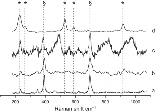 FIGURE 5. Raman spectra of chrysotile fibers that were untreated (a), sonicated for 21 h (b), leached with Ox for 21 hr (c), and treated with US–Ox for 21 h (d). A polarized solid-state Nd 80-mW laser operating at 532.11 nm was used as the excitation source. Representative spectra from at least 30 independent measurements are reported. Principal vibrational features due to chrysotile (§) and Mg oxalate (asterisk) are shown for each spectrum.
