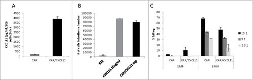 Figure 1. Effects of CXCL11 transduction into Human CAR T cells. A) CXCL11 secretion: Human CAR T cells were transduced with the CXCL11 gene and placed into culture for 24 hours. As measured by ELISA assay, the CXCL11 transduced T cells secreted significantly (p < 0.001) more CXCL11. B) Chemotaxis: Activated human T cells were placed in the top of a Boyden chamber. In the lower well was placed cell media (R10) as a negative control, 10 ng/ml of recombinant human CXCL11 protein as a positive control, or conditioned media from the CAR/CXCL11 cells. Both recombinant CXCL11 and the CXCL11-conditioned media significantly (p<0.001) enhanced migration of human T cells compared to media control. C) CAR T cell Killing: Equal numbers of CAR or CAR/CXCL11 T cells were added to mesothelioma cells not expressing mesothelin (EMParental) or to mesothelioma cells expressing human mesothelin (EMMeso) at various T cell to tumor ratios. After overnight incubation, their ability to kill the target cells was determined.