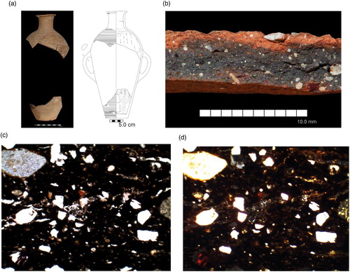 Figure 5 Imported pottery from Giza tombs: petrography Group 2 — iron-rich, less calcareous, with no chert, Fabric 201. Exemplar — Sample 2, Combed jar (MFA 13.5593), Tomb G 4340 A, 4th Dynasty.a. MFA 13.5593 (Photo © 2019 Museum of Fine Arts, Boston, photo and drawing K. Sowada).b. Sherd fracture (photo K. Sowada).c. Thin-section at plane-polarized light (PPL), 100x magnification (micrograph M. Ownby).d. Thin-section at cross-polarized light (XPL), 100x magnification (micrograph M. Ownby).Thin-sections show lack of sand-sized grains with a scatter of white silt-sized quartz grains.