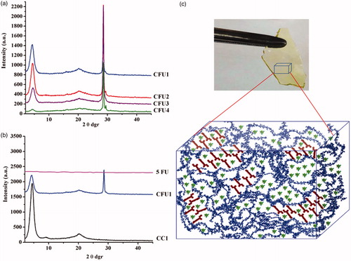 Figure 2. X-Ray diffractograms of (a) CFU systems and (b) CC1, CFU1 and 5FU and (c) hydrogel picture and the representation of the three-dimensional supramolecular architecture of the CFU systems.