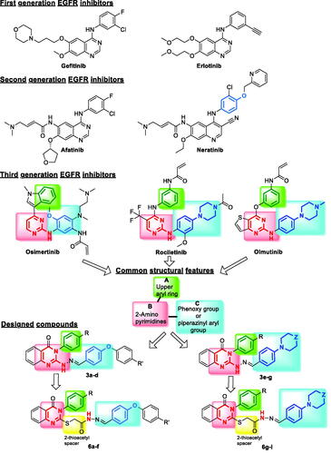 Figure 2. The three generations of EGFR inhibitors and the designed target compounds.
