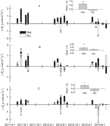 FIGURE 5. Seasonal and average (inserted panels, mean ± SE, n = 13) warming effects on (A) soil respiration (R s), (B) heterotrophic respiration (R h), and (C) autotrophic respiration (R a) in wet (dark columns) and dry (white columns) conditions. Asterisks denote significance between warming and control treatments (** P < 0.01; * P < 0.05).