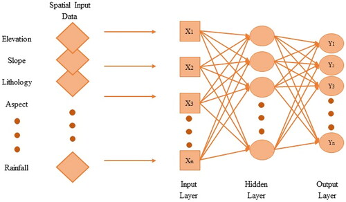 Figure 3. The general structure showing different kinds of layers and learning mechanism of ANN as an MLP.