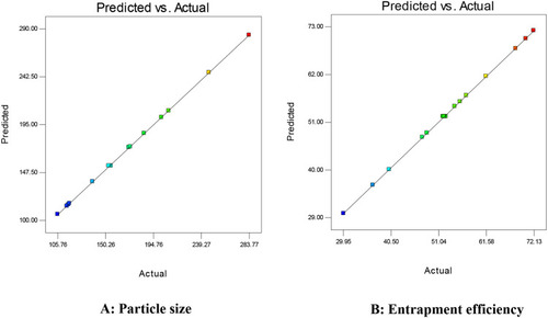 Figure 2 Actual and predicted response of independent variables on (A) particle size (nm), (B) entrapment efficiency (%).