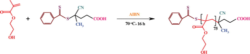 Scheme 3. Synthesis of PHEMA via RAFT polymerization.