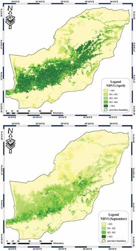 Figure 5. (Continued).