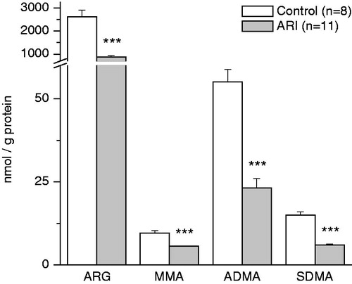 Figure 3. Effect of ARI on renal tissue content of arginine and methylarginines. Data are expressed as mean ± SE. ARG = arginine, MMA = monomethylarginine, ADMA = asymmetric dimethylarginine, SDMA = symmetric dimethylarginine. ***p < 0.001, t-test for independent samples.