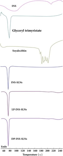 Figure 1 Comparative DSC spectra of insulin (INS)-loaded solid lipid nanoparticles (SLNs).