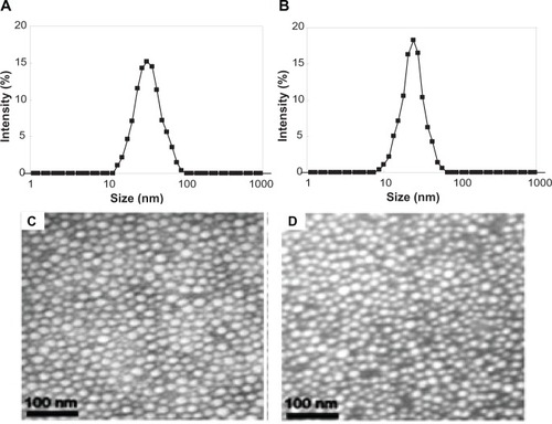 Figure 5 Characterization of AMPEG-PCL micelles and SSMPEG-PCL micelles. (A) Size distribution of AMPEG-PCL micelles; (B) size distribution of the SSMPEG-PCL micelles; (C) TEM image of the AMPEG-PCL micelles; (D) TEM image of the SSMPEG-PCL micelles.Abbreviations: AMPEG-PCL, acrylated monomethoxy poly (ethylene glycol)-poly(å-caprolactone); SSMPEG-PCL, star-shaped acrylated monomethoxy poly (ethylene glycol)-poly(å-caprolactone); TEM, transmission electron microscopy.