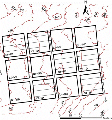 Figure 1 The experimental design showing different treatments including no-till (NT) and chisel-till (CT) under drainage (TD) and non-drainage (ND) systems at the Waterman Farm of Ohio State University, Columbus, OH.