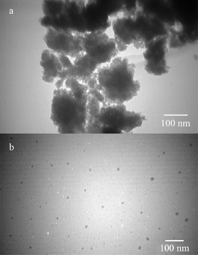 Figure 1. TEM micrographs of the uncontrolled (a) and controlled (b) synthesized FeOOH nanoparticles.