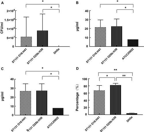 Figure 2 Survival capacity of E. coli O16:H41-ST131 and E. coli O25b:H30-ST131. (A) Resistance to serum bactericidal activity against 50% human serum. (B) MIC value of hydrogen peroxide. (C) MBC value of hydrogen peroxide. (D) Anti-phagocytic activity to RAW264.7 cells.