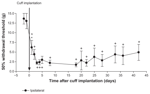 Figure 1 Permanent cuff implantation. On day 0 rats (n = 6) were implanted with a 2-mm polyethylene cuff around the left sciatic nerve, which was kept in place for the duration of the study. Paw withdrawal thresholds were measured using von Frey filaments before and after model induction. There was a significant decrease in withdrawal thresholds after cuff implantation compared to pre-induction baseline values (days–2 and –1). No differences were observed between any of the testing days after cuff implantation.