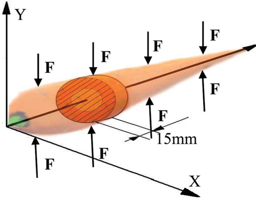 Figure 1. Method of taking a sample for the study.