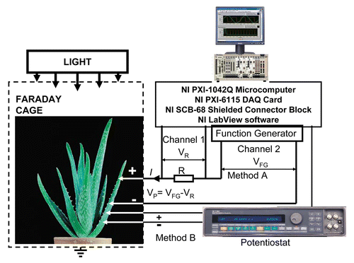 Figure 2. Two methods of cyclic voltammetry: (Method A) Block diagram of the data acquisition and electrostimulation system; (Method B) The SI1287 Advanced Electrochemical Interface was connected via the GPIB to PC and used in 2 terminal configuration for cyclic voltammetry.