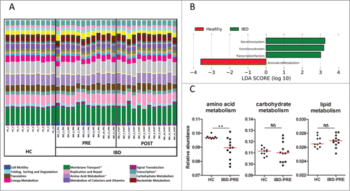 Figure 4. Predicted functional composition of metagenomes based on 16 S rRNA gene sequencing data. (A) Relative abundances of predicted functions (second level of the Kyoto Encyclopedia of Genes and Genomes (KEGG) Ortholog (KO) hierarchy) based on phylogenetic investigation of communities by reconstruction of unobserved states (PICRUSt) data set. Each stacked bar represents relative abundances of the predicted functions of each dog. (B) LEfSe based on the PICRUSt data set (third level of the KO hierarchy) revealed a total of 4 differentially enriched bacterial functions (enriched in healthy controls: amino acid metabolism, enriched in IBD dogs: secretion system, transcription factors, and a pathway with unknown function) between healthy control dogs and dogs with IBD (pre-treatment; α = 0.01, LDA score > 3.0). None of the bacterial functions were differentially expressed between IBD pre-treatment and IBD post-treatment. (C) Univariate analysis of major metabolisms. Red lines represent the median of relative abundance. HC, healthy control dogs; IBD-PRE, dogs with IBD pre-treatment; IBD-POST, dogs with IBD post-treatment; NS, no significance *metabolic functions that differed significantly between healthy control dogs and dogs with IBD **q < 0.01.