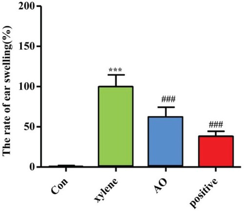 Figure 4. Effect of AO on degree of ear swelling in mice induced by xylene. Data represent the mean ± SD (n = 5).***p < 0.001 vs Con, ### p < 0.001 vs xylene. Con: Control; AO: Artemisia annua L. essential oil; positive: DSZBC.