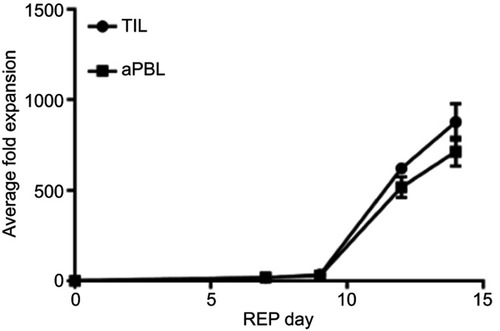 Figure 2 Growth kinetics of AML TIL (n=10) and AML aPBL (n=10) in triplicate.Abbreviations: aPBL, activated peripheral blood lymphocytes; AML, acute myeloid leukemia; TIL, tumor-infiltrating lymphocytes.