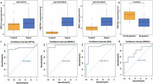 Figure 6. Crucial target genes expression level and receiver operating characteristic (ROC) curve. A depict the gene expression of hypoxia-inducible factor 1-alpha (HIF1A), MAP kinase-interacting serine/threonine-protein kinase 1 (MKNK1), and hexokinase 2 (HK2); B plots the expression of MKNK1 before and after early therapy treatment; C represent the area under the curve (AUC) of the ROC curve for HIF1A, MKNK1, and HK2 to divide subjects into patients with sepsis and healthy controls; D depicts the discriminability of responders and nonresponders of patients with sepsis