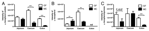 Figure 3. Intensity values for the measured (A) α-tocopherol acetate, (B) α-tocopherol, and (C) α-tocopherolquinone in jejunum, cecum, and colon of germ-free (GF) and monocolonized (MC) mice. Values are mean intensities ± SEM measured by LC-MS in positive ionization mode. Stars indicate significant differences; * P < 0.05, ** P < 0.01, *** P < 0.001. nd, not detected.