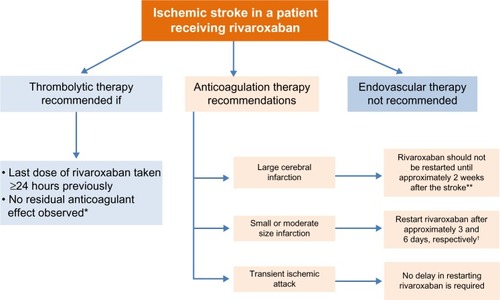 Figure 4 Management of patients with atrial fibrillation experiencing ischemic stroke.