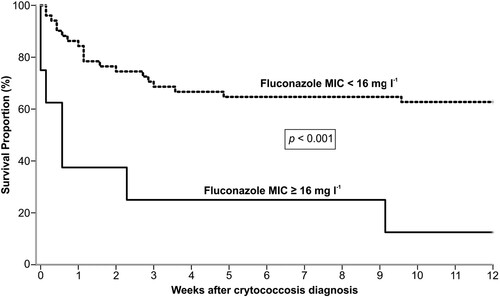 Figure 4. Kaplan–Meier analysis of 12 weeks survival of 60 renal transplant recipient infected by C. neoformans/C. gattii species complexes according to fluconazole MIC ≥ 16 mg l−1 (n = 8) or MIC < 16 mg l−1 (n = 52).