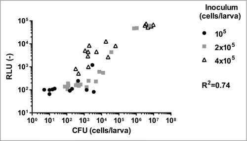 Figure 7. Correlation between luminescence signals of living animal and CFU counts. Each point corresponds to a single larva. Missing points are due to dead animals 24h post-infection. Correlation (R2) between RLU and CFU was calculated with a Pearson test (p < 0.0001 for all tested strains) using Graph Pad Prism 6. Results presented here merged data of 2 independent experiments including each 10 larvae per group. RLU (−): arbitrary units of luminescent signal.
