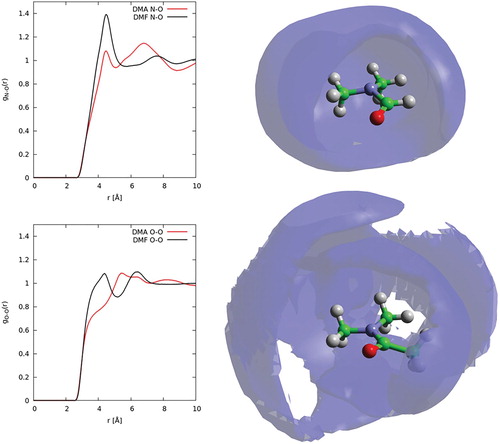 Figure 11. Left, partial radial distribution functions for N … O (top) and O … O (bottom) correlations in DMF (black curves) and DMA (red curves). Right, spatial density functions showing 20% most likely locations for oxygen atoms in first solvation shell for DMF (top) and DMA (bottom).