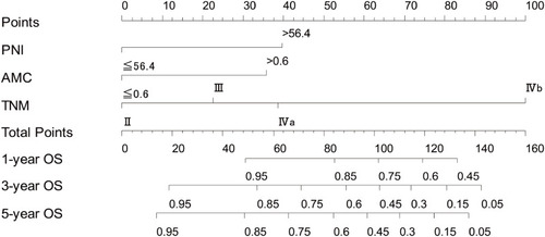 Figure 2 Nomogram model based on PNI, AMC and TNM stage in the prediction of 1-, 3- and 5-year overall survival in ESSC patients.