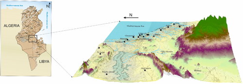 Figure 1. Geographic location map of Gabes area.