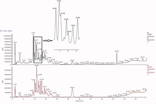 Figure 4. HPLC chromatogram of the butanol fraction of L. barbarum at 278 nm and 340 nm, respectively.