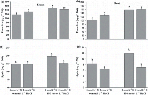 Figure 3 (a,b) Phenolics and (c,d) lignin contents in the roots (b,d) and shoots (a,c) of canola plants grown for 25 days under salinity with or without supplementary silicon. Error bars represent the standard error. DW, dry weight. Different small letters on histograms represent statistically significant differences at P < 0.05.