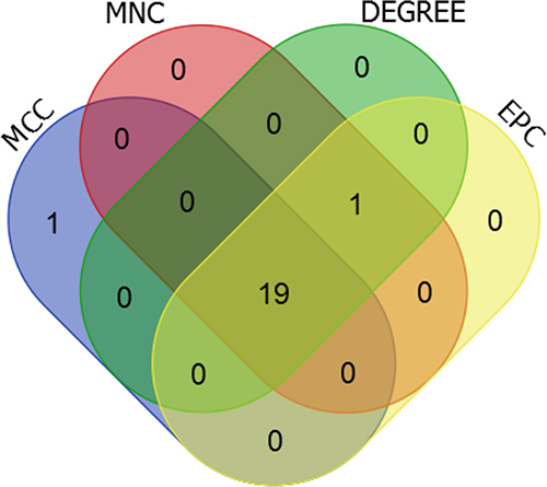Figure 8 Venn display of top 20 genes based on Degree, MCC (Maximal Clique Centrality), MNC (Maximum Neighborhood Component), EPC (Edge Percolated Component).