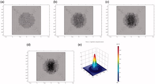 Figure 4. Test 2(b). (a)–(d) Locally adaptively refined meshes of Table 4. (e) Computed solution on the four times adaptively refined mesh (d).