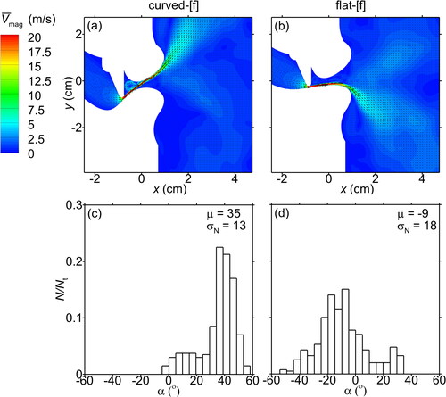 Figure 10. The mean velocity magnitude contours in conjunction with the superimposed mean velocity vectors of the airflow for (a) the curved-[f] and (b) the flat-[f] models with a tooth gap height of 0.8 mm at a subglottal pressure of 300 Pa at 0.2 s. The corresponding trajectory angle histogram distributions during 0 to 0.2 s for (c) the curved-[f] and (d) the flat-[f] models.