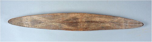 Figure 15. Shield. Described by von Guérard as ‘Heaviest kind of shield, as above, bought in the camp of a Tribe in the neighbourhood of Timboon (West Victoria)’. Number 10 on von Guérard’s ‘List of Australian Objects’. Indent no. VI 2567. Photo: Staatliche Museen zu Berlin, Ethnological Museum / Volker Linke. https://id.smb.museum/object/1356572.