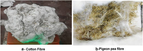 Figure 1. A -Cotton fibre and B- Pigeon pea fibers.