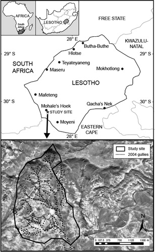 Figure 1 The study site, showing the 2004 gullies