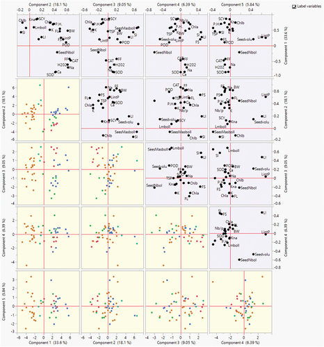 Figure 7. Scatterplot matrices of PC1, PC2 and PC3 displays different traits and genotypes under normal and salt stress conditions. Different color dots across coordinates of scatter plots show the placement of genotypes under salinity stress, whereas different color shapes in scatterplots represent placement genotypes under normal conditions. Different color schemes represent the grouping of genotypes across stress and normal conditions.