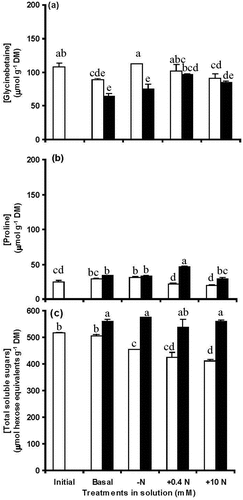 Figure 6. Concentrations of glycinebetaine (a), proline (b), and total soluble sugars (c) for segments of FEFL of wheat (cv. Hartog) in two PEG 8000 treatments (0 and − 0.5 MPa) in the basal incubation solution, basal minus N, basal plus 0.4 mM NO3− and basal plus 10 mM NO3− at 0 (initial) and 48 h of treatment. Values are means ± SE (n = 3). 0 MPa □, −0.5 MPa ■. Some error bars are too small to see. The scale of Y axis in Figure 6(c) is 3-fold that in Figure 6(a,b). Significant differences (P < 0.05) between PEG treatments and amongst N supply treatments were indicated by different letters.